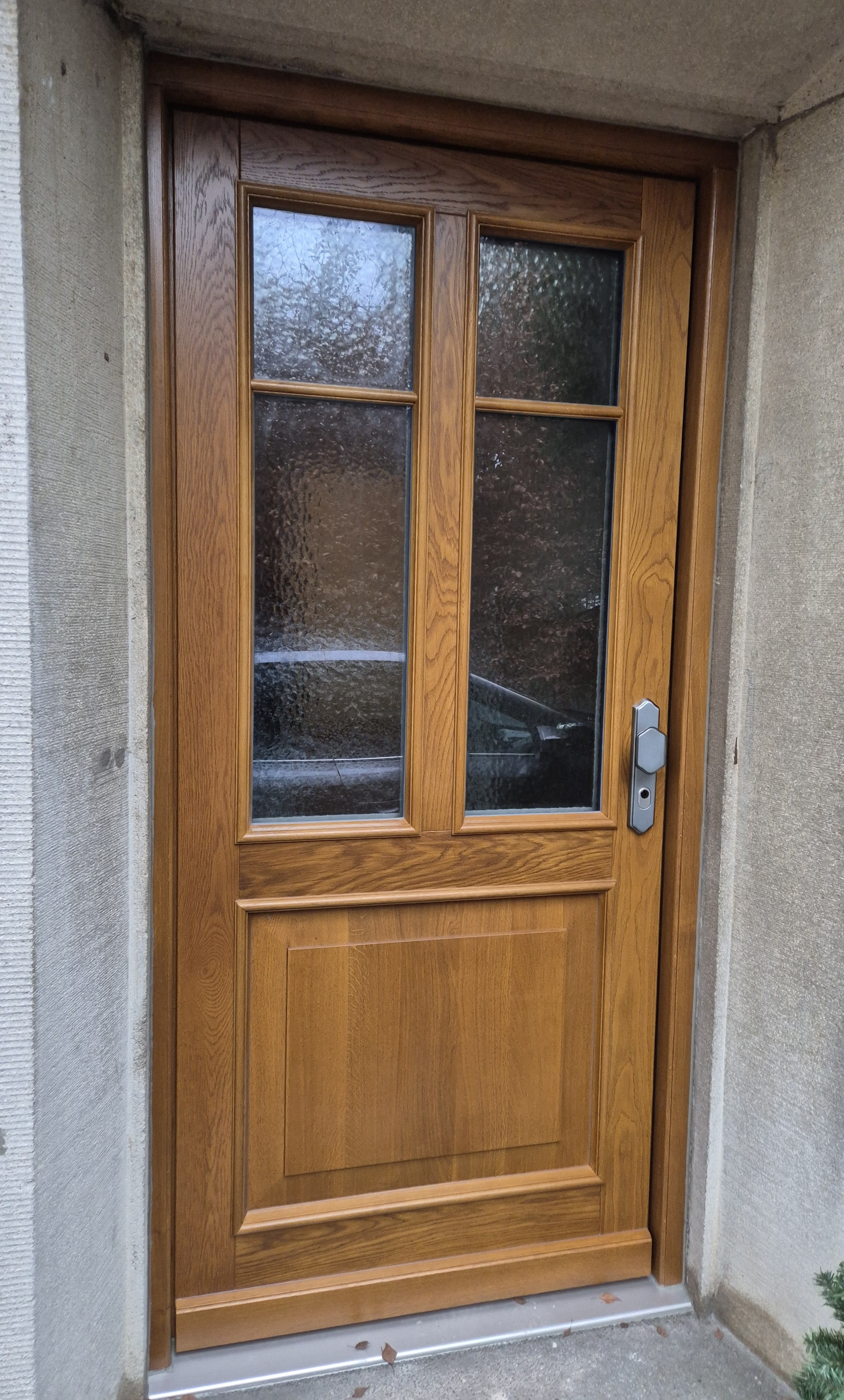 Haustüre komplett Holz-Optik, Schloss, Rahmen